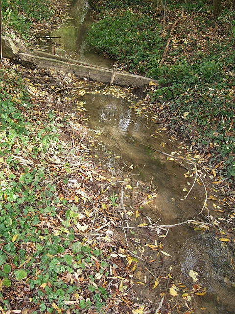 futur trail 028.jpg